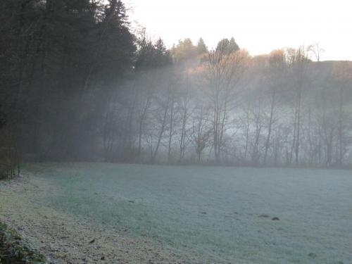 landschaft nebel